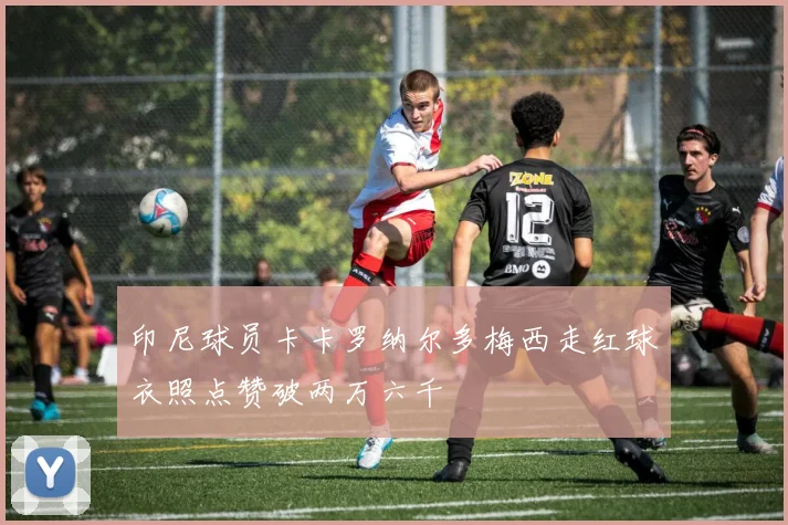 印尼球员卡卡罗纳尔多梅西走红球衣照点赞破两万六千